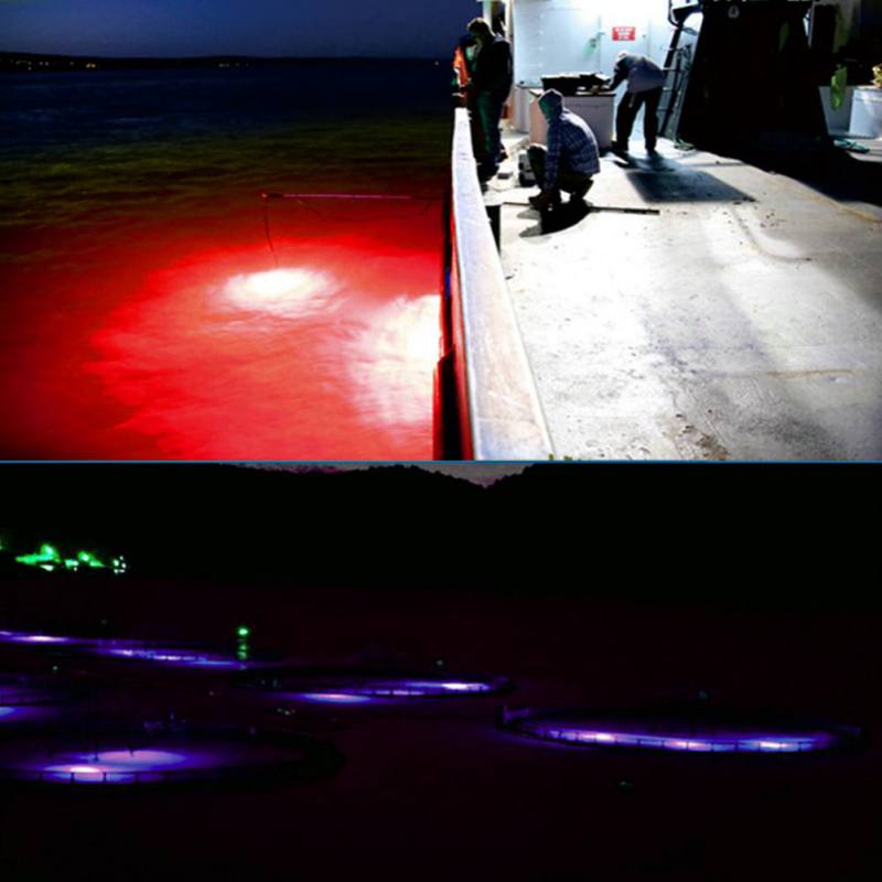 Mini lampada per attrazione pe - Fishing Boat Navigation Light recensione e prezzo
