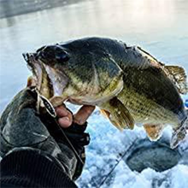 ABUE-Kayak Ecoscandaglio Porta - Fishing Boat Depth Finder recensione e prezzo